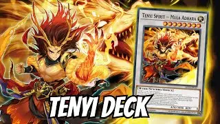 3 New TENYI Cards! INSANE Combos & Deck Profile - MDPRO 2024