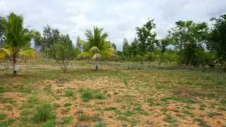 Palm Meadows - DTCP Approved plots in Coimbatore with eco-friendly concept of living