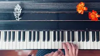 Carulli - Vivace in A Minor 🌸 Level 3A | Performance Book | Piano Adventures | Video Tutorial