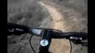 Switchgrass Trail at Lake Wilson
