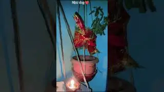Day : 67 ❤️ #exsplorepage #minivlog #viral #vlog #expoter #shortvideo #food #shortvideoformat