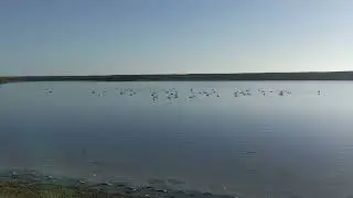 West Fleet near Langton Herring, Dorset