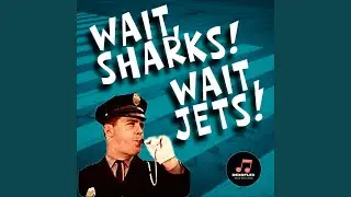 Wait, Sharks! Wait, Jets!