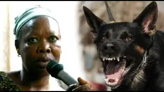 WATCH AND SEE HOW GOD DELIVERED HER FROM MULTIPLE DOG BITES