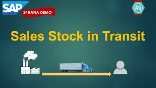 Sales with Valuated Stock in Transit: SAP S4HANA Demo