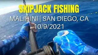SKIPJACK Fishing Short | Malihini | San Diego, CA | 10/9/2021 | California Saltwater Fishing