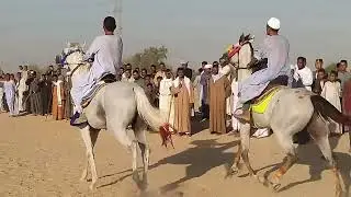 نجم المساوية وحقانى المساوية 2032 دور الإعادة القيام