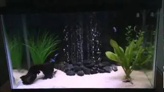 substrate debate!