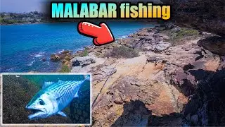 Рыбалка на Малабаре. Что скрывается в этих водах?!