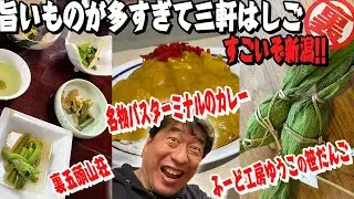 【三軒はしごだ】新潟満喫旅。山菜食べてデトックス!笹だんごで癒やし!名物バスターミナルカレーで懐かしさを感じる。ウザすぎる食レポ新潟編