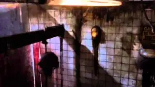 Mystery Video #1 inside the Dungeon of Doom