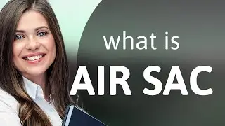 Air sac &bull; AIR SAC definition