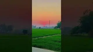 Aisa Desh hai Mera// hindi songs by trending vedio viral videos download link 🔗🔗🔗