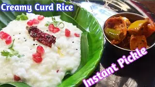  Curd Rice & Instant Pickle | Creamy, Cool & Comforting! #Usha Food Lab #curd