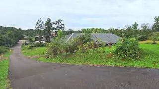 Cacao hmoob guyane lub zog 