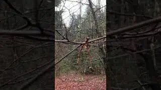 Mindfulness Nature Connection | How to Make Walking Mindful