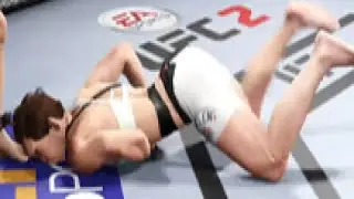 Ending careers in UFC 2