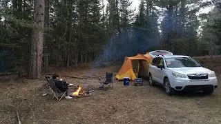 Brook Trout Fishing Trip - Secluded Campsite Northern Michigan (Catch and Cook)