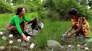 Catch turtle & pick duck egg for food- Boiled turtle soup with water coconut eating delicious
