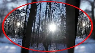 Winterspaziergang im Zeisigwald Chemnitz