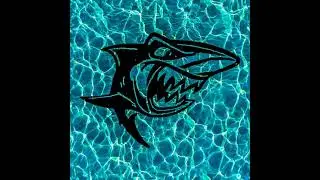 SeaSteel Prod. SquaLow