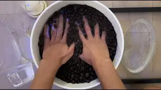 ASMR | Playing in My LECA Balls