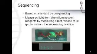 Ion Torrent Sequencing (4.6)