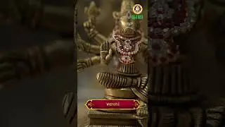Varahi Amman Idol | Divine Protection Murti for Pooja Room & Home Temple #giristores  #giriindia