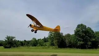 Piper J3 at Lost Griz Aerodrome