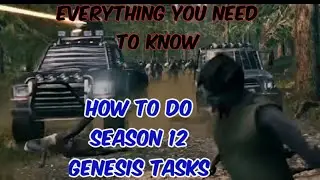 LDOE Everything you need to know about season 12 Genesis deliveries