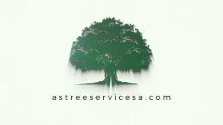 A's Tree Service San Antonio - Austin - Schertz