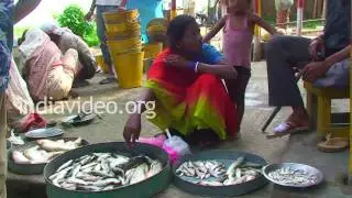 Fish Market  Guwahati Assam