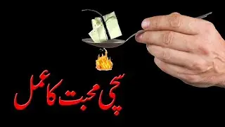 Halke Saink Pe Garm Kiya Jane Wala Suchi Mohabbat Ka Taweez | Hub Ka Atshi Taweez | Qureshi Saha