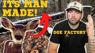 Unveiling the Shocking Secret Behind Deer Doe Factories?