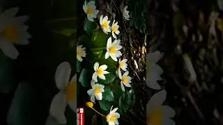 Stunning AI-Generated Flower Collection | Beautiful & Unique Blooms | Artificial Flowers collection