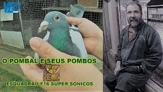 Columbofilia  / Pombal  F16 Super Sónicos (Amares) / Reprodutores / Março 2023 / VL21