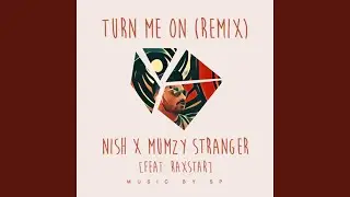 Turn Me On (Remix)