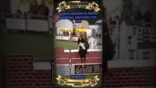 World record for a 240cm high jumping obstacle.