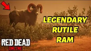 *XBOX ONE* Legendary Rutile Ram In Red Dead Online! Naturalist Role Harriet Sighting Mission