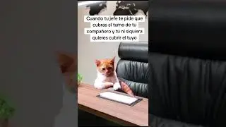 #humor #memes #trabajo