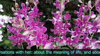 02 Хрустальный момент истины