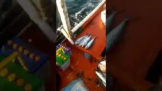 Charna island 2019 karachi