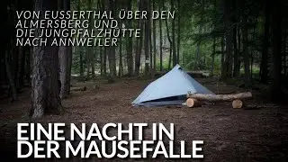 Eine Nacht in der Mausefalle | Eu&szlig;erthal, Almersberg, Jung-Pfalz-H&uuml;tte, Annweiler | Trekking Pfalz