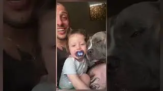 Don't worry Mino #music #americanbully