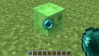 what's inside the slime?