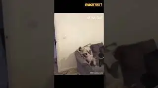 Lipop mudah ditipu