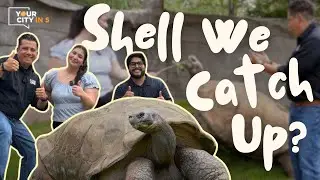 Your City in 5: Shell We Catch Up?