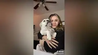 Cute Tik Tok Pets That Make Me Enjoy Life More 2021  Letswatch