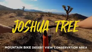 Mountain Biking Joshua Tree, California