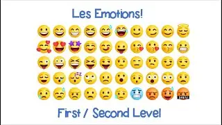 Les emotions: First/Second Level French